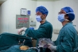 我院成功完成首例腹腔镜下肝段切除术