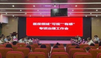 我院召开医保领域“可视”“有感”专项治理暨医保物价业务培训会