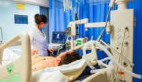 一天两起蜂蜇伤险致命！1人进ICU，这个夏天最危险的“刺客”